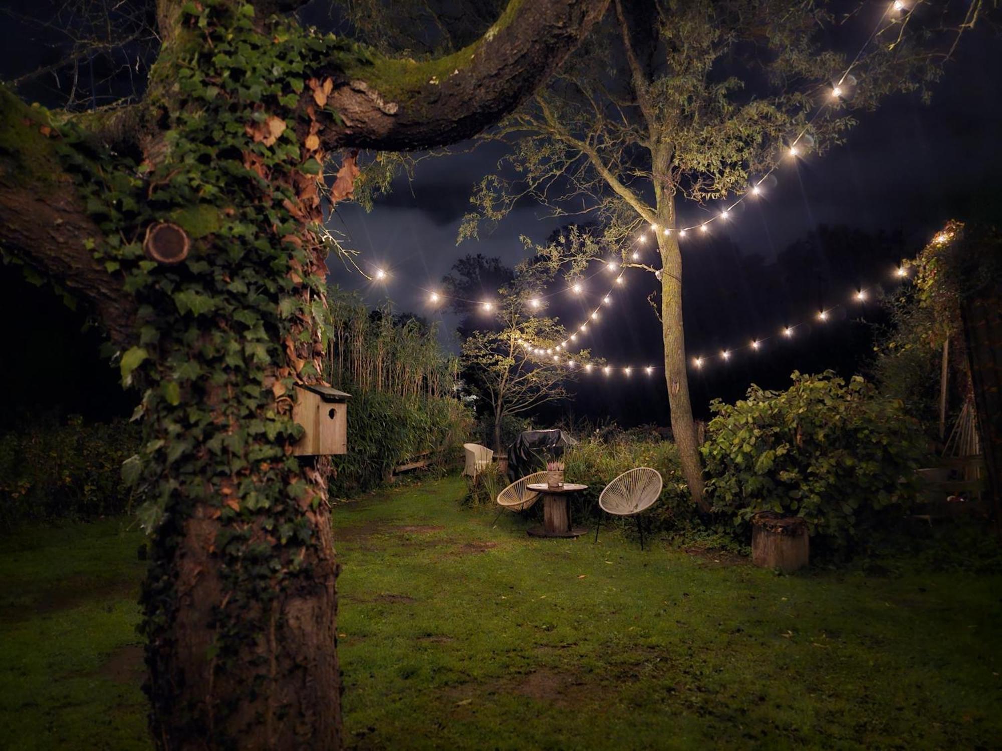 Weberhof-Muenster Glamping Hotel Buitenkant foto